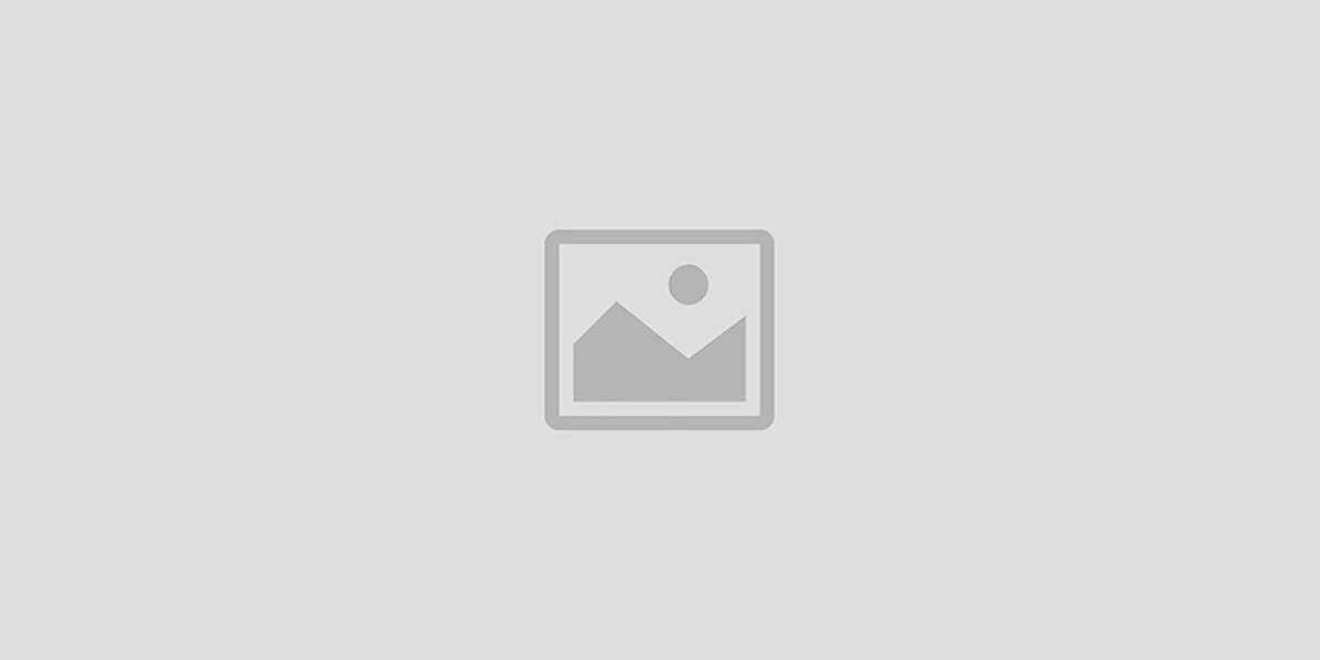 Guangzhou Yingji Trading Co. Ltd